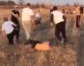 Напрежението в Пловдив ескалира, фенове се млатиха зловещо (ВИДЕО)