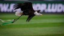 Дресьорът на Фортуна: В Лудогорец открихме семейство